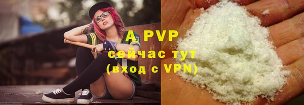 spice Гусев