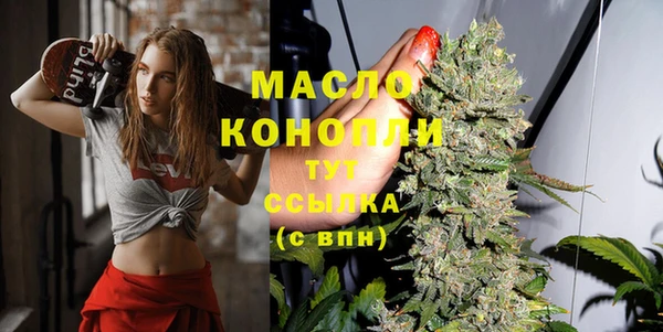 spice Гусев