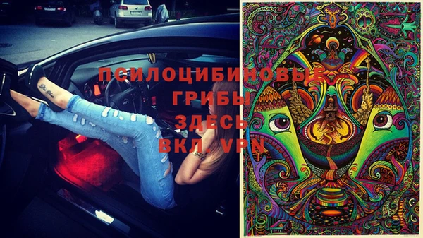 mdpv Гусь-Хрустальный