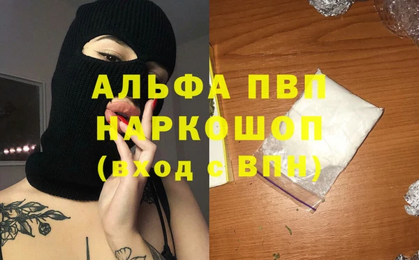 стаф Дмитровск