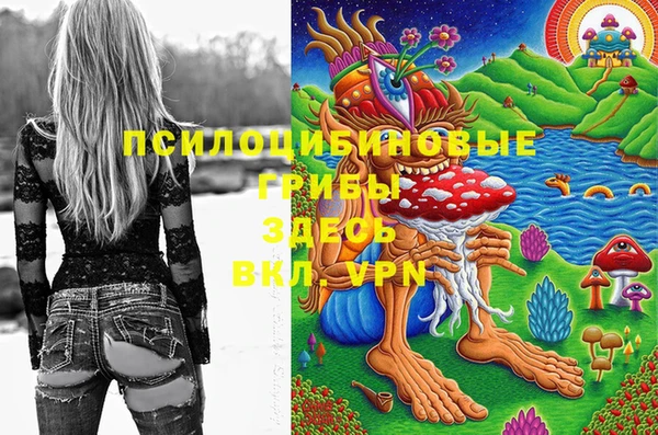 стаф Дмитровск